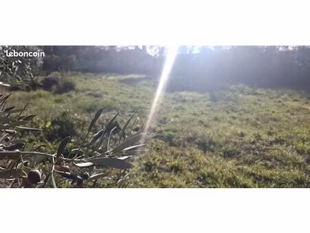 terrain 590 m² laroque