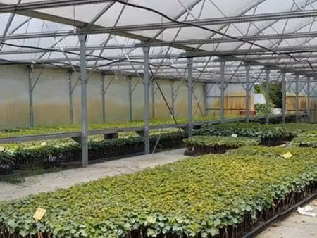 pépinière viticole + propriété agricole et résidentielles