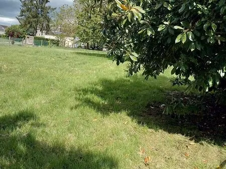 terrain constructible avec arbres fruitiers