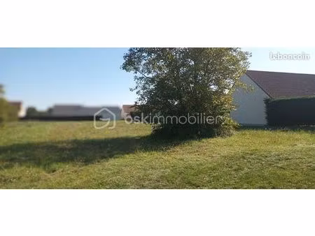 terrain 1 096 m² muides sur loire