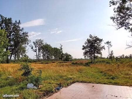 maison t6 4 chambres 160 m2 6 hectares