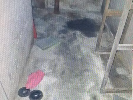 lous cave nice libération