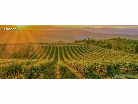 vente de terrains à bâtir  disponibilité immédiate