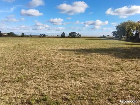 terrain de 1ha dont 6000 m2 constructible