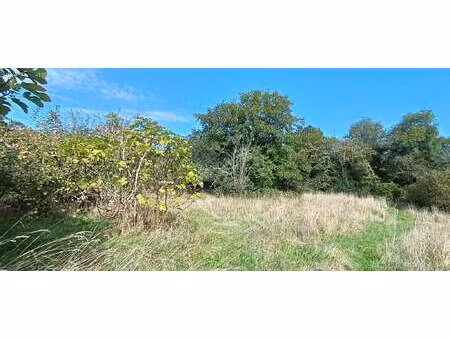 vente terrain à concarneau (29900) : à vendre / concarneau