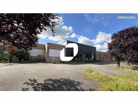 local d'activité 750 m²