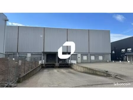 local d'activité 703 m²
