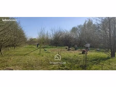 terrain 8 411 m² merville