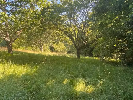 vente terrain 2750 m² à créon (33670)  169 000 €