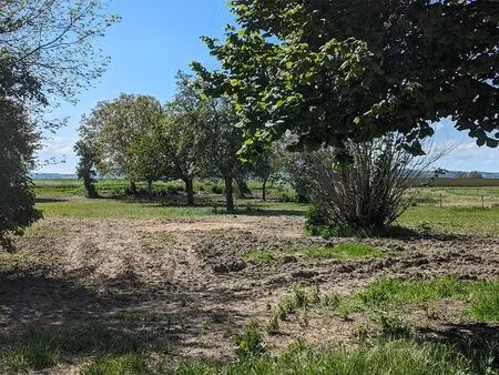 terrain 1094 m² bussieres et pruns