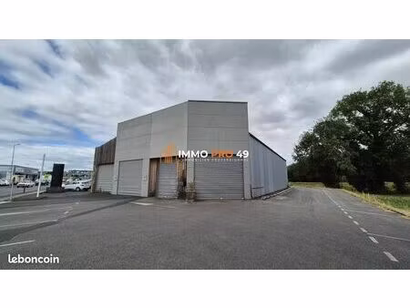 local 290 m² ancenis-saint-géréon