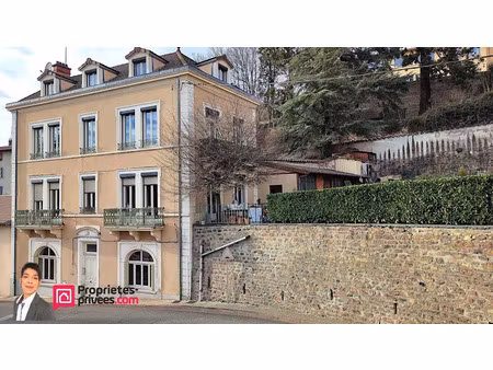 vente immeuble 11 pièces 250 m² à bourg-de-thizy (69240)  233 000 €