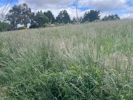 terrain constructible viabilisé à vendre