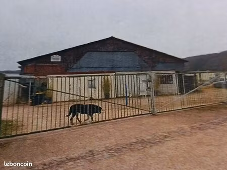 hangar pour activité professionnelle