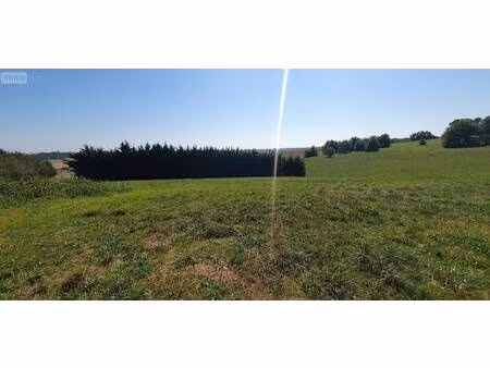 terrain constructible viabilisé à vendre