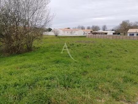 terrain constructible viabilisé à vendre