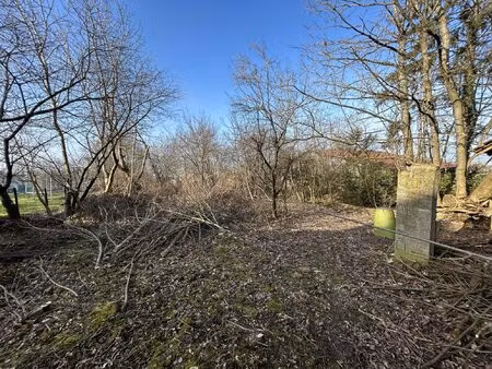 terrain à vendre pfetterhouse