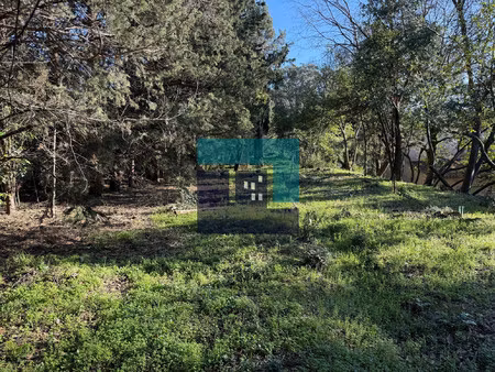 terrain constructible et arboré de 1086 m²
