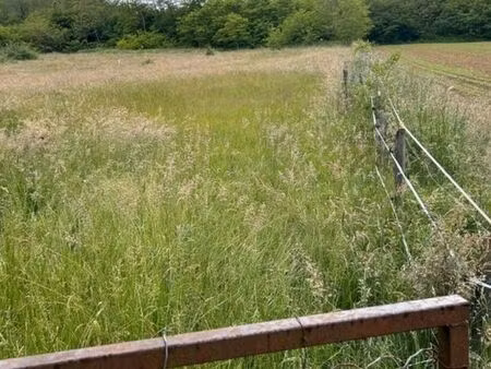 loue terrain pour animaux■commune de lentiol