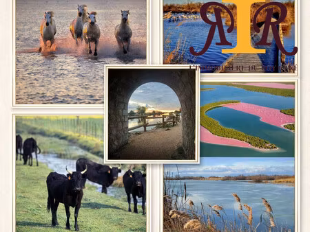 domaine 7500 m2 / mas 288m2 potentiel d'extension jusqu'à