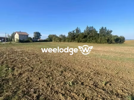 cadours  terrain de 965m2 constructible