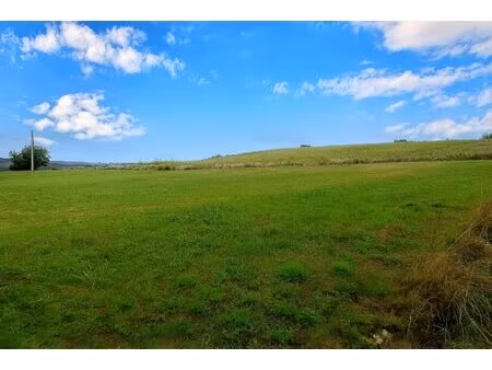 terrain constructible