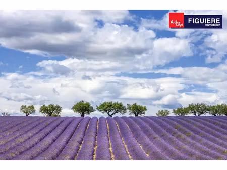 locaux commerciaux neuf à louer bord de départementale salon de provence