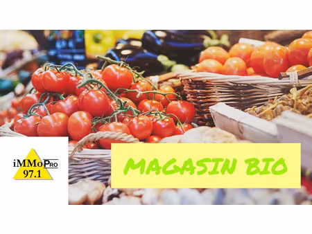 location local commercial 631m² baie mahault 97122