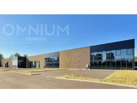 cellules activites - zac amberieux