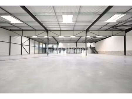 local d'activite a louer