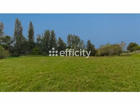 terrain - 2923 m²