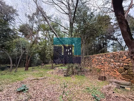 vente terrain