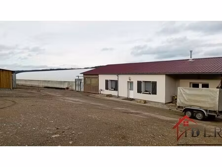 vente local commercial