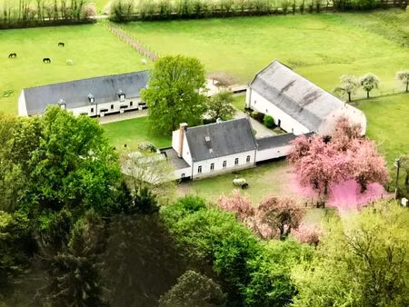 ferme en carré +/- 13ha nombreuses possibilités