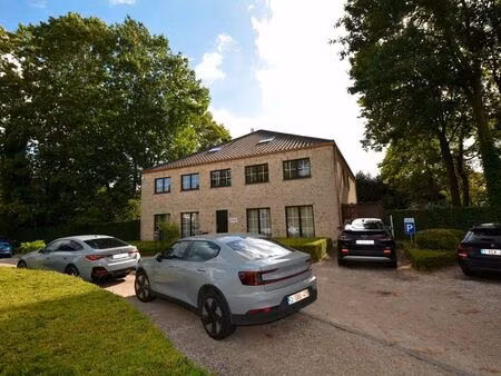 bien professionnel à vendre à zandhoven € 1.290.000 (leq2q) - immo patio | zimmo