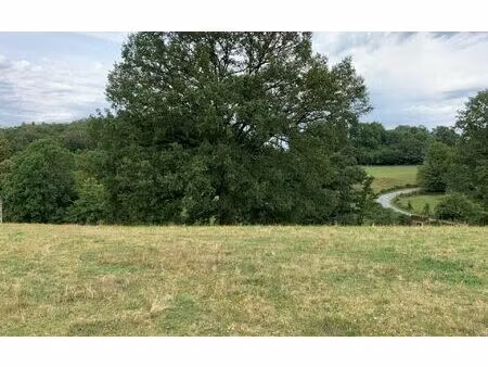 terrain boisseuil m² t- à vendre  49 900 €