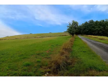 vente terrain 2000 m² la sauzière-saint-jean (81630)
