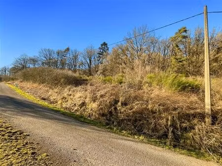 ce terrain de + de 40 ares situé sur la commune de rendeux.