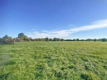 superbe terrain à bâtir de 11 8 ares