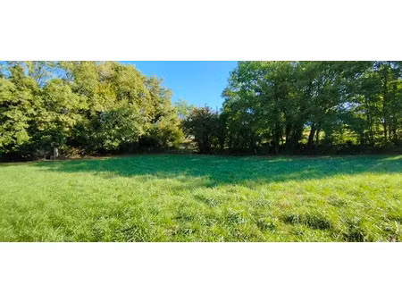 vente terrain 1393 m² à pranzac (16110)  39 900 €