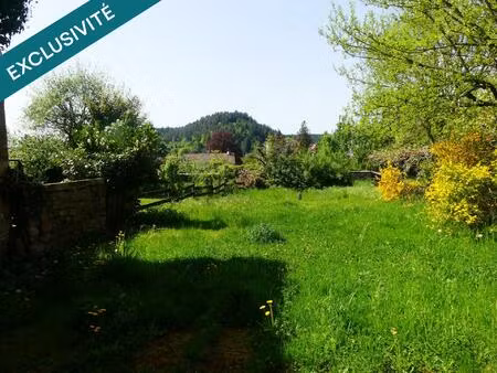 vente immeuble 300 m² bruyères (88600)