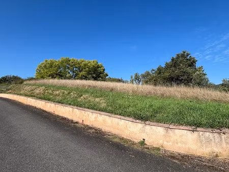 vente terrain à batir 3772 m² à saint-cyprien-sur-dourdou (12320)  73 000 €