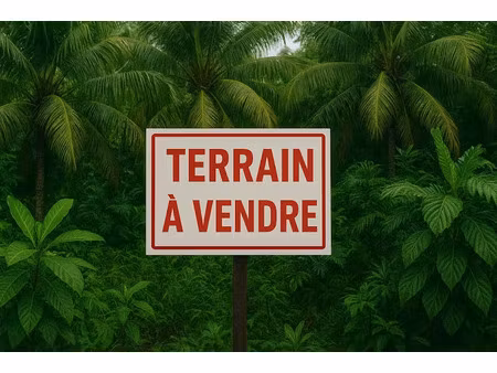 vente terrain à batir 438 m² à le tampon (97430)  120 000 €