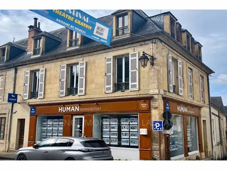 vente locaux professionnels 338 m² à montignac (24290)  451 500 €