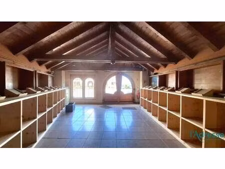 local commercial à louer