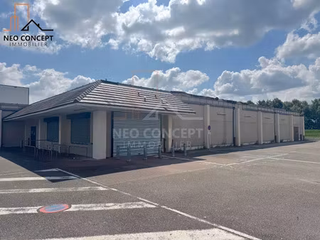 location locaux professionnels 1196 m² à weyersheim (67720)  7 500 €