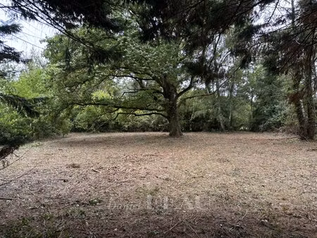 terrain constructible proche montfort