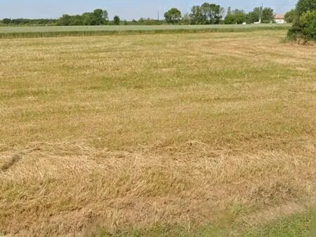 terrain plat saint-romain de benet