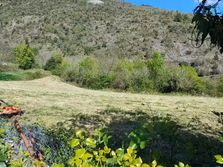 vente terrain 1000 m² ginoles (11500)