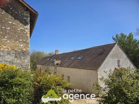 vente maison 9 pièces 243 m² saint-denis-de-palin (18130)